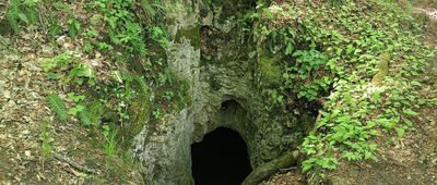 Jaskinia Piekło Skibskie