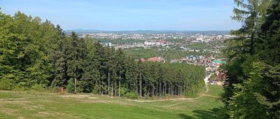 Rozejście szlaków ↔ Telegraf