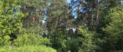 Rozejście szlaków ↔ Kielce, Bukówka