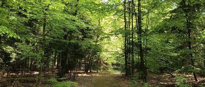 Ścieżka na górę Włochy