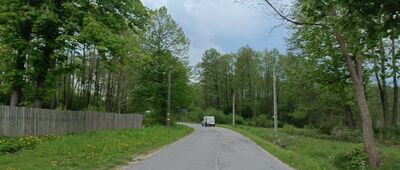 Widełki