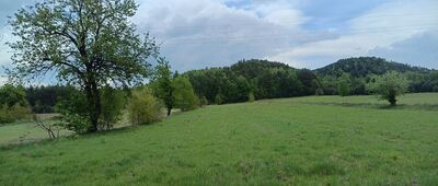 Widełki ↔ Łapigrosz