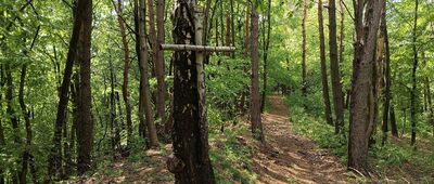 Łapigrosz ↔ Zamczysko