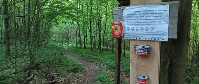 Słowik, rozejście szlaków ↔ Biesak