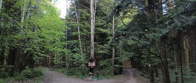 Przełęcz pod Obrazikiem