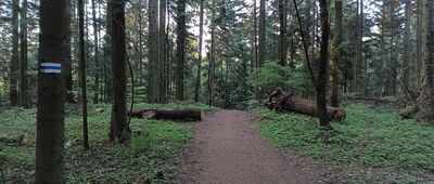 Pierścienica ↔ Kielce, skocznia