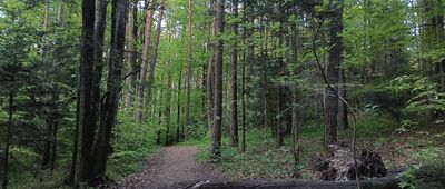 Kielce, tor jeździecki