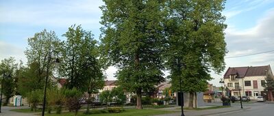 Łagów, ul. Bardzka ↔ Łagów