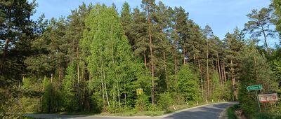 Sikorza ↔ Niestachów