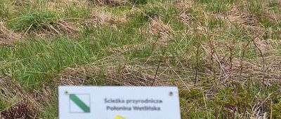 Przełęcz M. Orłowicza ↔ Osadzki Wierch
