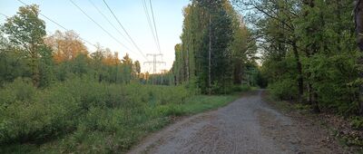 Ruda Śląska, ul. Śmiłowicka