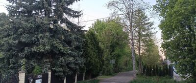 Halemba, ul. Nowy Świat