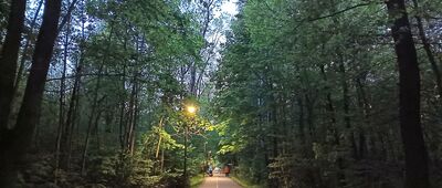 Zabrze, os. Janek ↔ Zabrze, Guido