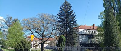 Tarnowskie Góry, ul. Górnicza ↔ Tarnowskie Góry, ul. Legionów