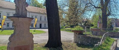 Tarnowskie Góry, ul. Legionów