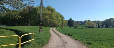 Tarnowskie Góry, ul. Parkowa