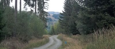 Rozdroże pod Porębem, północ