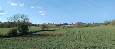 Tarnowskie Góry, ul. Parkowa ↔ Odejście szlaku historycznego