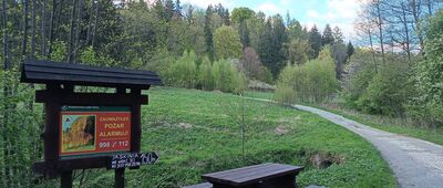 Jaskinia Radochowska ↔ Skrzyżowanie przy Jaskini Radochowskiej