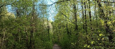 Odejście szlaku historycznego ↔ Odejście szlaku historycznego