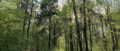 Odejście szlaku historycznego