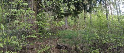 Skrzyżowanie przy Jaskini Radochowskiej