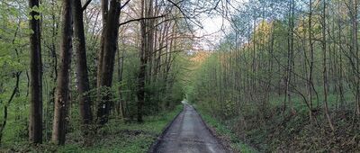 Skrzyżowanie przy Jaskini Radochowskiej