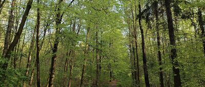 Odejście szlaku historycznego