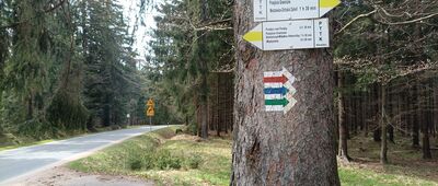 Autostrada Sudecka, rozejście szlaków