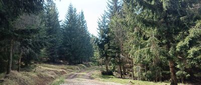 Rozejście szlaków
