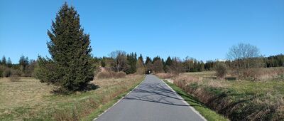 Lesica, żółty szlak ↔ Kamień