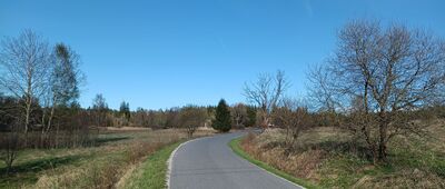 Lesica, żółty szlak