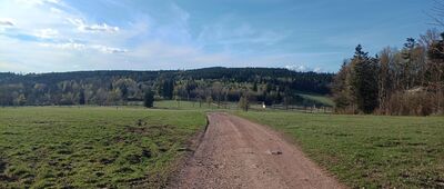 Lesica, żółty szlak ↔ Kolonia Lesica