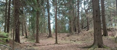 Fort Wilhelma