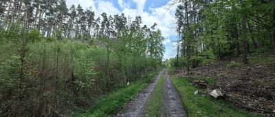 Licheń ↔ Jezioro Słowa