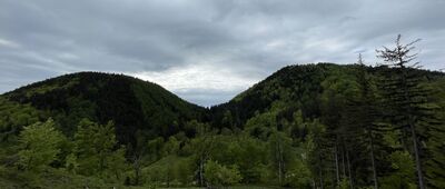 Przełęcz Kozia, rozejście szlaków ↔ Wołowiec