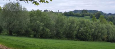 Pławna ↔ Bruśnik [Wieża w Bruśniku widok z Pławnej]