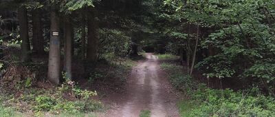 Bruśnik, kościół ↔ Siekierczyna
