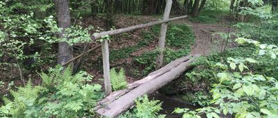 Diabla Dziura ↔ Bukowiec