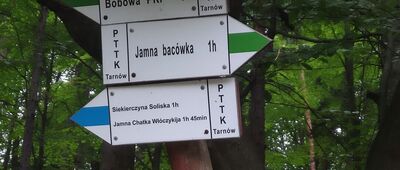 Bukowiec