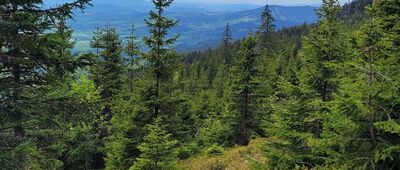 Černá hora, wieża widokowa ↔ Zrcadlovky