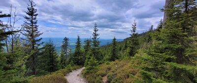 Černá hora, wieża widokowa ↔ Zrcadlovky