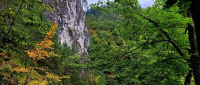 Oblazy, rázc. ↔ Kvačianska Dolina, ustie