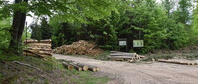 Rozdroże Trzech Buków