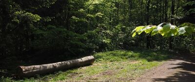 Barania Góra ↔ Porzecze