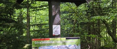 Góra Siniewska