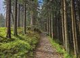 Baza namiotowa Hala Górowa ↔ Hala Miziowa, skrzyżowanie szlaków