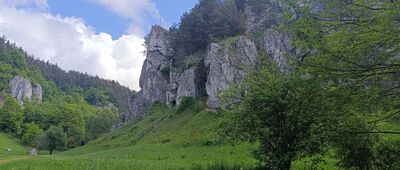 Bolechowice, rozejście szlaków ↔ Będkowice