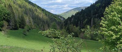 Podžiar ↔ Sedlo Vrchpodžiar