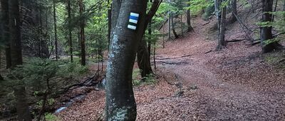 Pod Pálenicou ↔ Pod Tesnou Rizňou